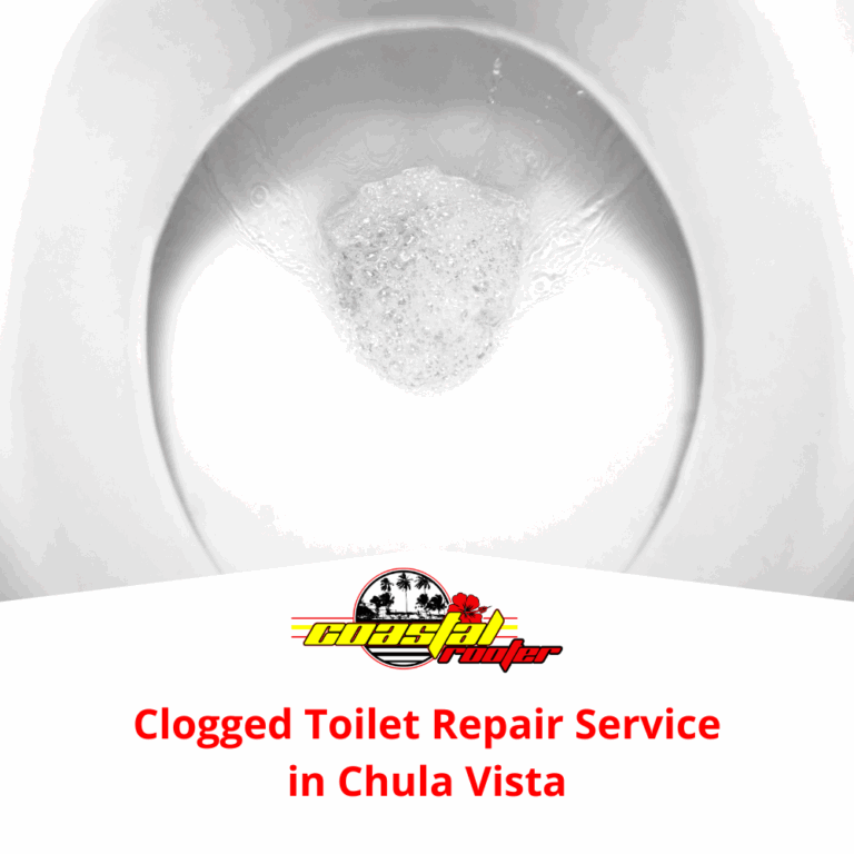 Clogged Toilet Repair Service in Chula Vista